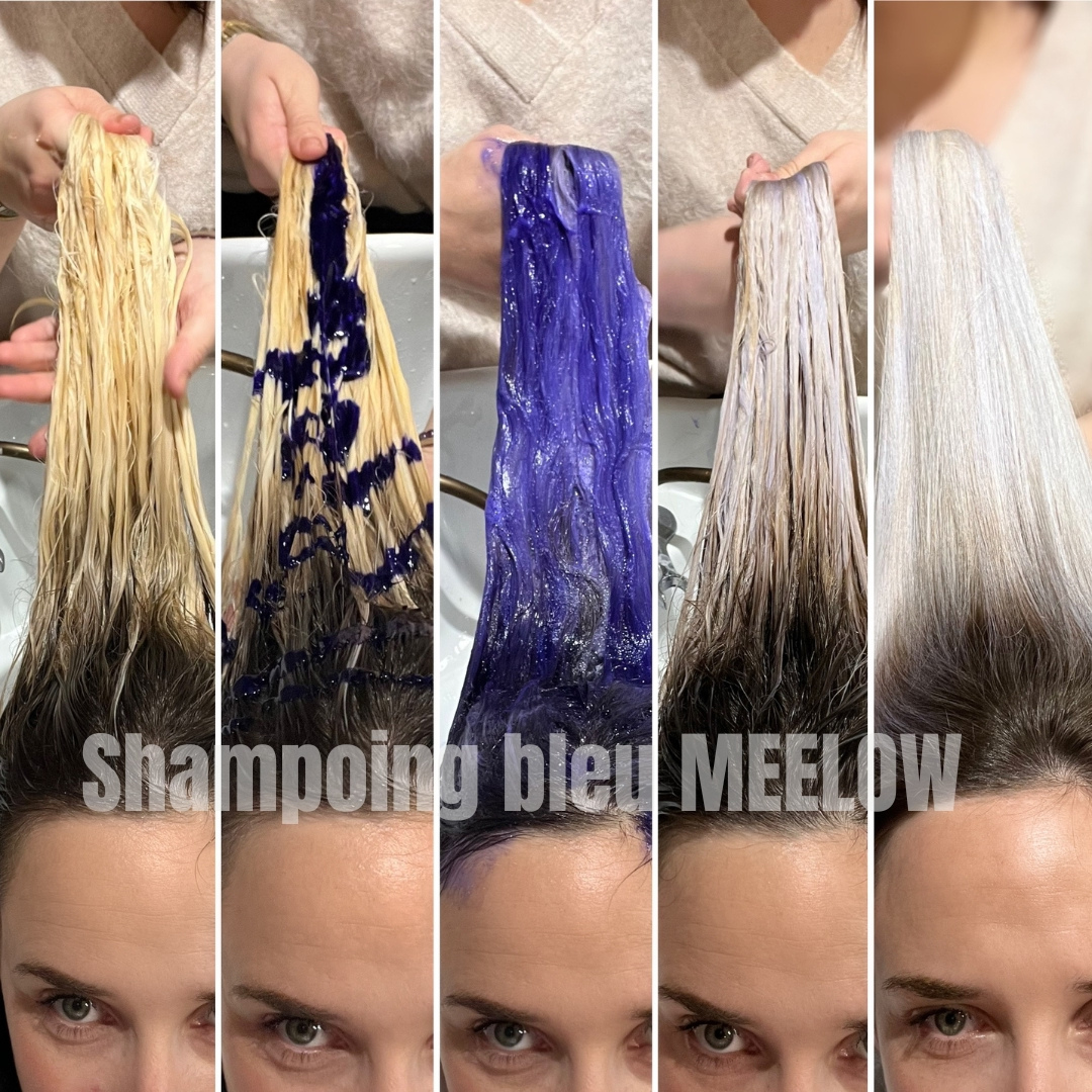 Meilleur shampoing pour blond polaire
